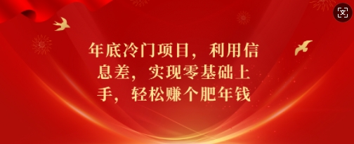 年底冷门项目，利用信息差，实现零基础上手，轻松赚个肥年钱【揭秘】-天娱网创