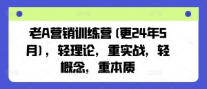 老A营销训练营(更24年12月)，轻理论，重实战，轻概念，重本质-天娱网创