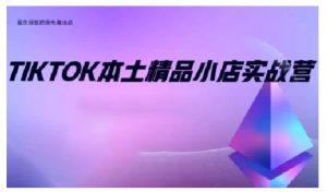 TikTok本土精品小店出海实战营,从入门到高阶,不止0-1!-天娱网创