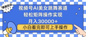 视频号蓝海赛道玩法，当天起号，拉爆流量收益，小白也能轻松月入30000+-天娱网创