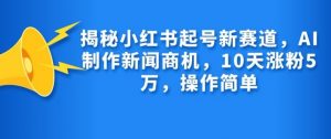揭秘小红书起号新赛道，AI制作新闻商机，10天涨粉1万，操作简单-天娱网创