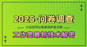 2025问卷调查最新工作室技术解密：一个人在家也可以闷声发大财，小白一天2张，可矩阵放大【揭秘】-天娱网创