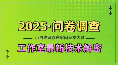 2025问卷调查最新工作室技术解密：一个人在家也可以闷声发大财，小白一天2张，可矩阵放大【揭秘】-天娱网创