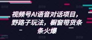 视频号AI语音对话项目，野路子玩法，橱窗带货条条火爆-天娱网创