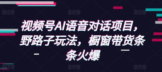 视频号AI语音对话项目，野路子玩法，橱窗带货条条火爆-天娱网创