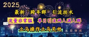 最新“跨年群”引流，流量非常猛，单日引流两人满人群，立马操作立马见效【揭秘】-天娱网创