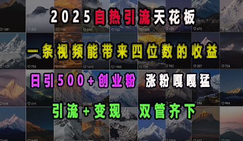 2025自热引流天花板,一条视频能带来四位数的收益,引流+变现双管齐下,日引500+创业粉,涨粉嘎嘎猛-天娱网创