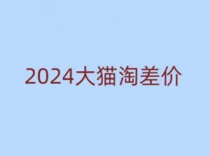 2024版大猫淘差价课程，新手也能学的无货源电商课程-天娱网创