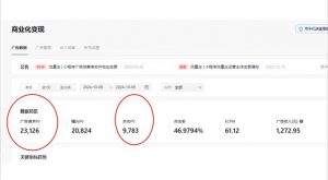 抖音雪花无人直播，一天躺赚3000+，0粉手机可搭建，不违规不限流，小白...-天娱网创