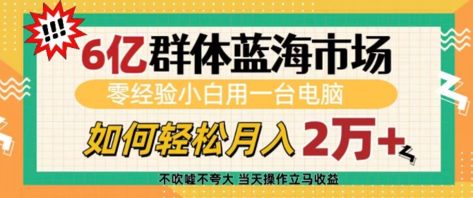 6亿群体蓝海市场，零经验小白用一台电脑，如何轻松月入过w【揭秘】-天娱网创