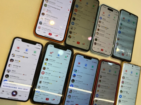 首发揭秘小红书私域日引500+创业粉四大模板,月入过W+全程干货!没有废话!保姆教程!-天娱网创