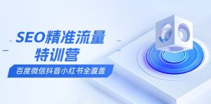 SEO精准流量特训营，百度微信抖音小红书全覆盖，带你搞懂搜索优化核心技巧-天娱网创