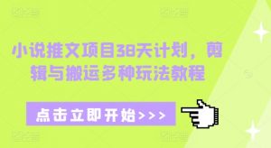 小说推文项目38天计划，剪辑与搬运多种玩法教程-天娱网创