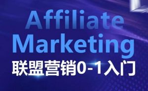 ​​​​​​Affiliate Marketing联盟营销0-1入门，联盟营销基本逻辑 联盟平台逻辑及联盟客逻辑全面详解-天娱网创