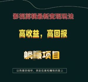 影视剪辑最新变现玩法，高收益，高回报，躺Z项目【揭秘】-天娱网创