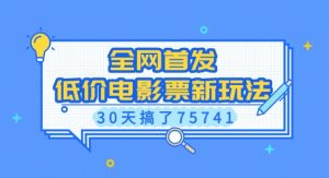 全网首发，低价电影票新玩法，已有人30天搞了75741【揭秘】-天娱网创