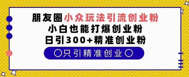 朋友圈小众玩法引流创业粉，小白也能打爆创业粉，日引300+精准创业粉【揭秘】-天娱网创