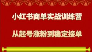 小红书商单实战训练营，从0到1教你如何变现，从起号涨粉到稳定接单，适合新手-天娱网创