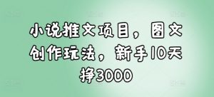 小说推文项目，图文创作玩法，新手10天挣3000-天娱网创