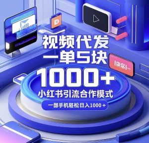 视频代发，一单5块，小红书引流合作模式，一部手机轻松日入多张【揭秘】-天娱网创