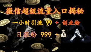 微信超级流量入口揭秘：一小时引流 99 + 创业粉，日涨粉 999 +-天娱网创