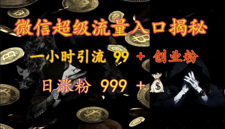 微信超级流量入口揭秘:一小时引流 99 + 创业粉,日涨粉 999 +-天娱网创