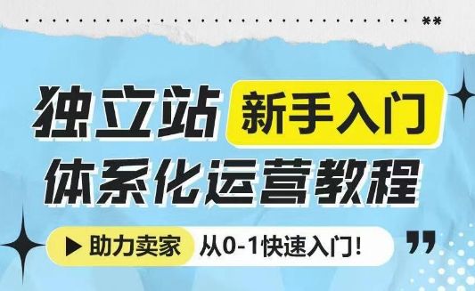独立站新手入门体系化运营教程,助力独立站卖家从0-1快速入门!-天娱网创