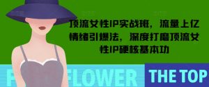顶流女性IP实战班,流量上亿情绪引爆法,深度打磨顶流女性IP硬核基本功-天娱网创