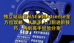独立站运营从SEO到Adsense全方位攻略，从新手入门到进阶技巧，再到高手经验分享-天娱网创