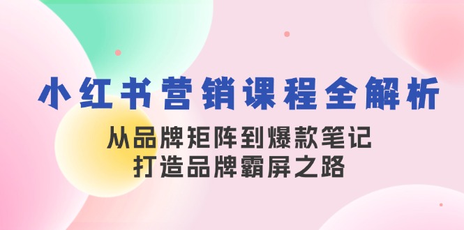 小红书营销课程全解析，从品牌矩阵到爆款笔记，打造品牌霸屏之路-天娱网创