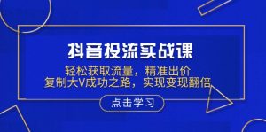 抖音投流实战课，轻松获取流量，精准出价，复制大V成功之路，实现变现翻倍-天娱网创