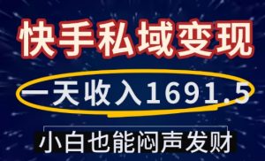 一天收入1691.5,快手私域变现,小白也能闷声发财-天娱网创