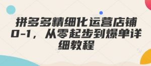 拼多多精细化运营店铺0-1,从零起步到爆单详细教程-天娱网创
