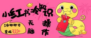 小红书冷知识账号，无脑复制粘贴，5分钟即可变现3张-天娱网创