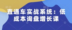 直通车实战系统:低成本询盘增长课,让个人通过技能实现升职加薪,让企业低成本获客,订单源源不断-天娱网创