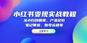 小红书变现实战教程:从小白到精英,产品定价,笔记带货,账号运营等-天娱网创