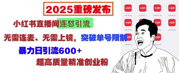 2025重磅发布：小红书直播间连怼引流，无需连麦、无需上镜，突破单号限制，暴力日引流600+-天娱网创