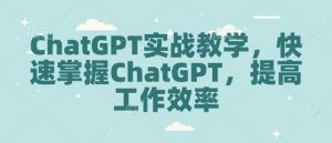 ChatGPT实战教学，快速掌握ChatGPT，提高工作效率-天娱网创