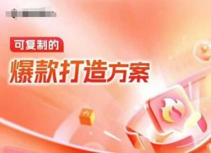 天猫电商爆款运营,可复制的爆款打造方案(线下内训课录音+字幕)-天娱网创
