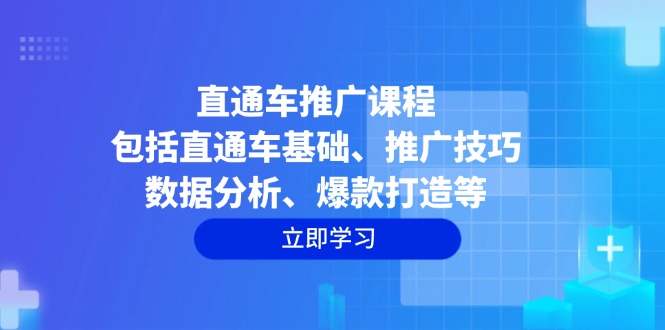 直通车推广课程：包括直通车基础、推广技巧、数据分析、爆款打造等-天娱网创