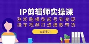 IP剪辑师实操课：涨粉跑模型起号到变现，挂车视频打造爆款带货-天娱网创