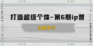 打造 超级个体-第6期ip营:商业认知,产品设计,成交演练,解决知识变现难题-天娱网创