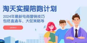淘天实操陪跑计划，2024年最新电商营销技巧，包括直通车、大促策略等-天娱网创