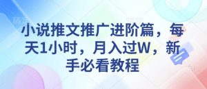 小说推文推广进阶篇，每天1小时，月入过W，新手必看教程-天娱网创