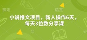 小说推文项目,新人操作6天,每天3位数分享课-天娱网创