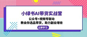 小绿书AI带货实战营：公众号+视频号联动，教会你选品带货，助力副业增收-天娱网创
