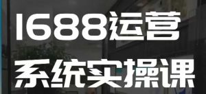 1688高阶运营系统实操课，快速掌握1688店铺运营的核心玩法-天娱网创