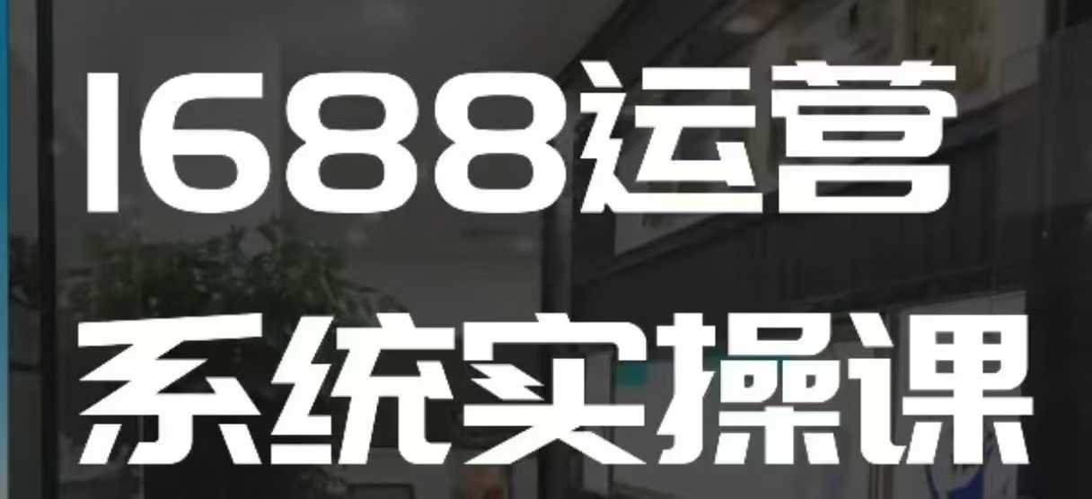 1688高阶运营系统实操课，快速掌握1688店铺运营的核心玩法-天娱网创