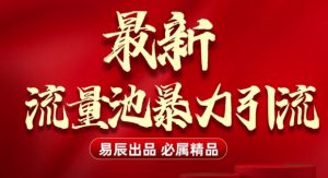 最新“流量池”无门槛暴力引流(全网首发)日引500+-天娱网创