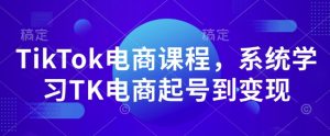 TikTok电商课程,系统学习TK电商起号到变现-天娱网创
